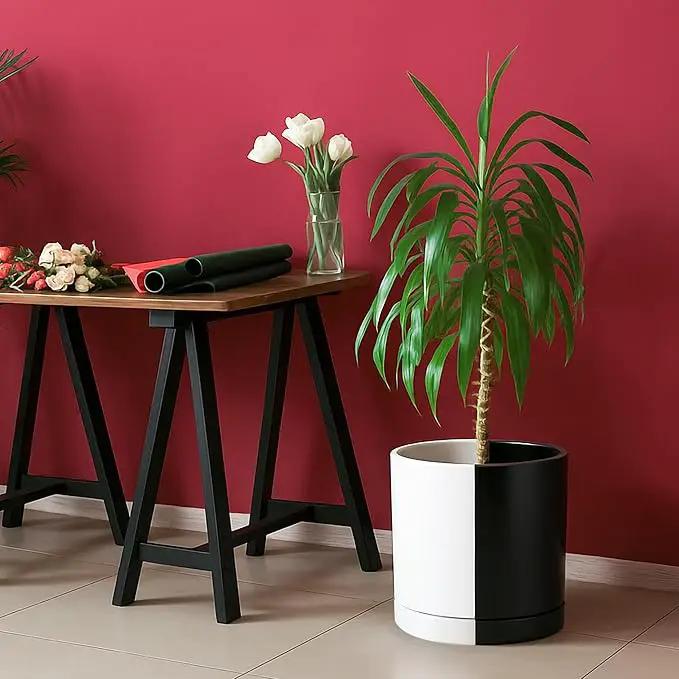 D'vine Dev 10 Inch Ceramic Planter Pot with Drainage Hole and Saucer, Indoor Cylinder Round Planter Pot, Split Monochrome Black & White, 94-O-E-0 by GreenHaven Gardens