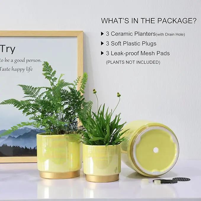 Gepege Indoor Pots for Plants, Ceramic Planter with Drainage Hole, 6.0 inch+5.0 Inch+4.0 Inch. Succulent Orchid Flower Pot - Rainbow Pearl Glaze by GreenHaven Gardens