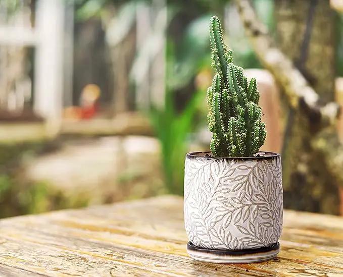 D'vine Dev 4 Inch Embossed Leaves Stoneware Planter Pot with Drainage Hole and Saucer, Smoked White, Set of 1, 27-A-Z-1 by GreenHaven Gardens