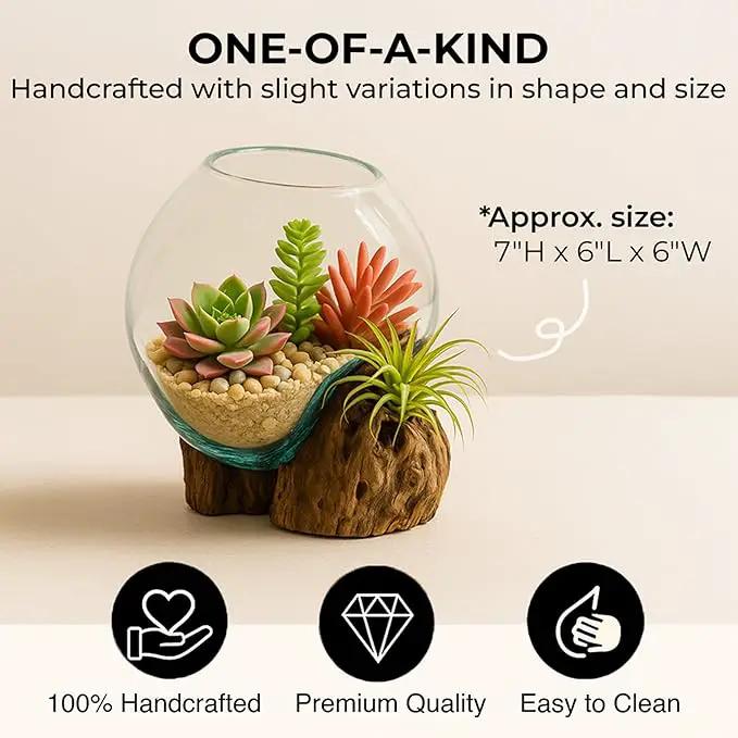 Cape Craftsmen 7" H Hand-Blown Blue Tinted Bubble Glass On Natural Teak Driftwood Terrarium | Home Décor Indoor Planter with Stand | Pot for Succulent and Plants by GreenHaven Gardens