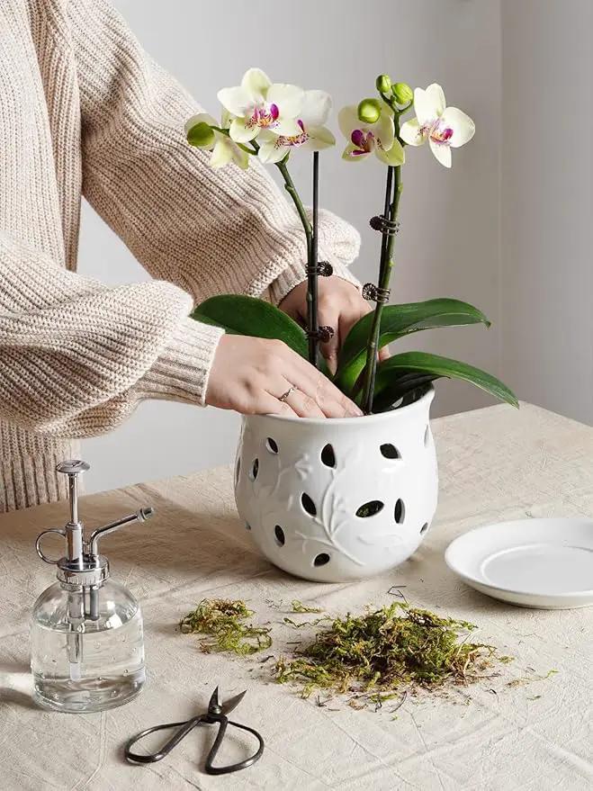 LE TAUCI Ceramic Orchid Pot, 6.5 Inch Orchid Pots with Holes, Orchid Planter for Repotting, Indoor Flower Plant Pot with Drainage and Saucer, White by GreenHaven Gardens