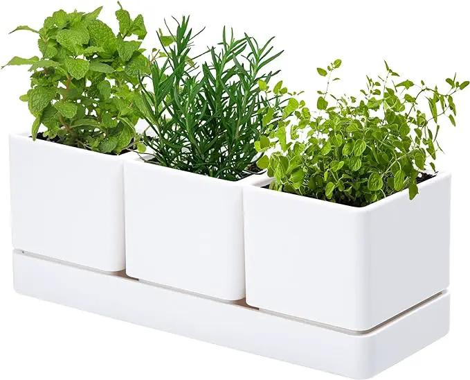 D'vine Dev Herb Garden Planter Set, Plastic Plant Pots with Drainage and Saucer, Indoor Succulent Cactus Vegetable Pot for Windowsill, Garden Balcony, White, Set of 1, 76-V-A-1 by GreenHaven Gardens