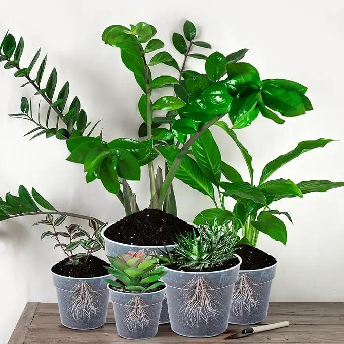 Vesici Large Size Clear Nursery Pots Variety Pack Plant Pots with Drainage Holes Planters for Indoor Plants Flexible Transparent Plastic Plant Bottle Succulents(24 Pcs,3/4/5/6/7/8/9/10 Inch) by GreenHaven Gardens