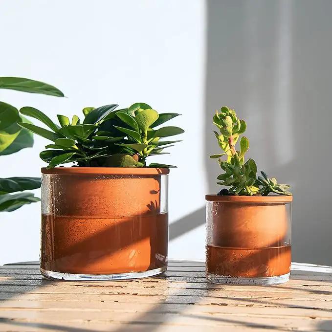 Phoenix Vine 4 Inch Self Watering Plants Pot, Design Terracotta Pot for Plants, Indoor Cylinder Terra Cotta Planter with Glass Vase, Set of 1, 51-A-E-1 by GreenHaven Gardens