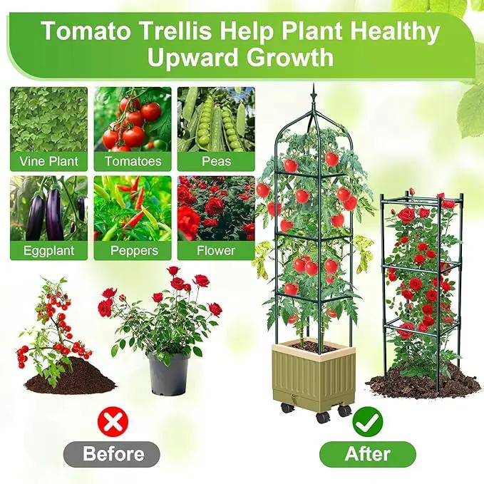 Raised Garden Bed Planter Box with Trellis, 71" Self-Watering Tomato Planter with Wheels for Climbing Vegetable and Plants, Tomato Cage Planters for Indoor Outdoor Patio Greenhouse Gardening (1Pack) by GreenHaven Gardens