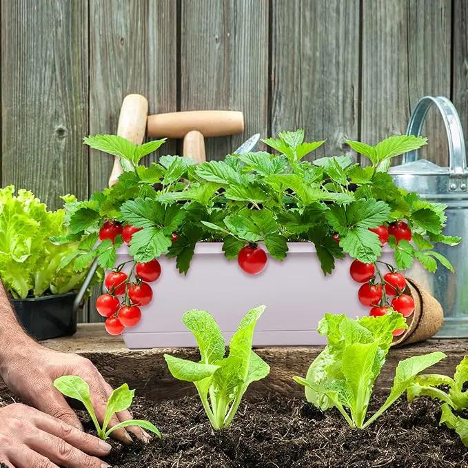 Window Box Planter, 7 Pack Plastic Vegetable Flower Planters Boxes 17 Inches Rectangular Flower Pots with Saucers for Indoor Outdoor Garden, Patio, Home Decor (White) by GreenHaven Gardens