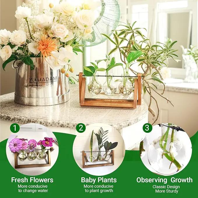 Ivolador Plant Propagation Station,Bulb Plant Terrarium with Wooden Stand,Unique Gardening Gifts for Women Plant Lovers,Hydroponic Indoor Planter Home Office Garden Wedding Decor-3 Bulb Glass Vases by GreenHaven Gardens