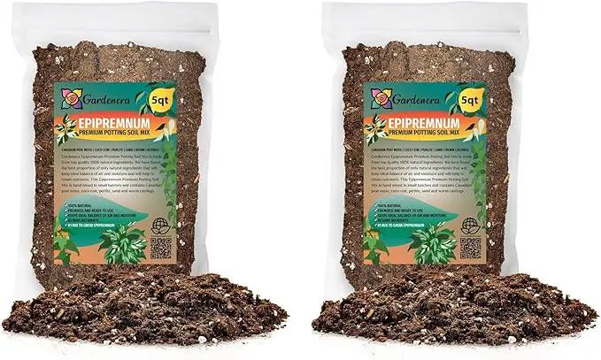 Epipremnum Plant Potting Soil - All-Natural Blend for Thriving Epipremnum Plants - Boosts Root Health and Foliage Brilliance - 10 Quart by GreenHaven Gardens