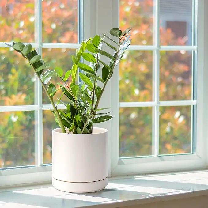 D'vine Dev Set of 2 Plants Pots, 6.5 Inch Ceramic Planter Pot for Plants with Drainage Hole and Saucer, Oatmeal, 94-V-C-8 by GreenHaven Gardens
