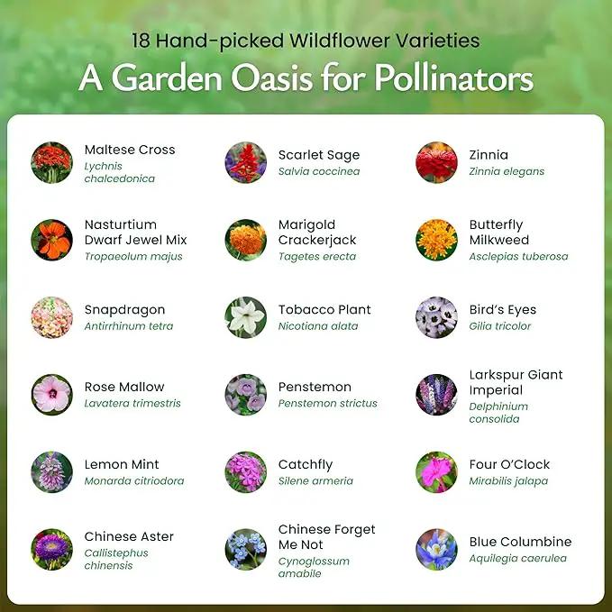 Created By Nature Hummingbird & Butterfly Wildflower Seed Mix, 18 Varieties, 60,000 Wildflower Seeds by GreenHaven Gardens