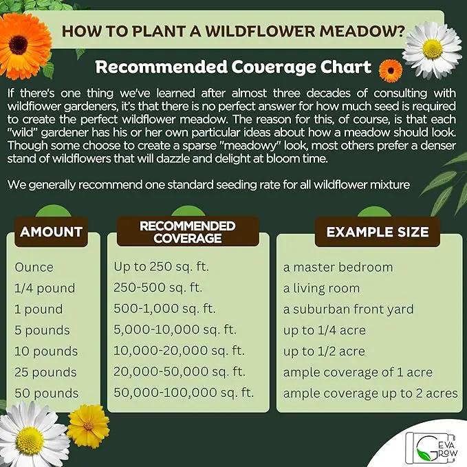 Wildflower Seed s – Perennial Flower Seeds Mix to Plant Anywhere, by Geva Grow | 12-Type Beautiful Perennial Wildflower Seeds Bulk 90,000+ Seeds, 2 Ounce, No Messy Packets by GreenHaven Gardens