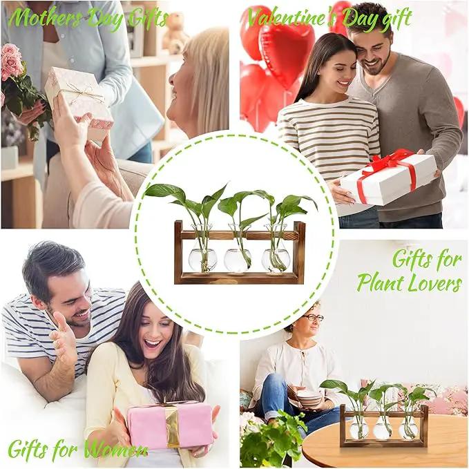 Plant Propagation Station Plant Terrarium Unique Birthday Gifts for Women Plant Lovers Home Office Decor Planter with Wooden Stand - 3 Bulb Glass Vase by GreenHaven Gardens