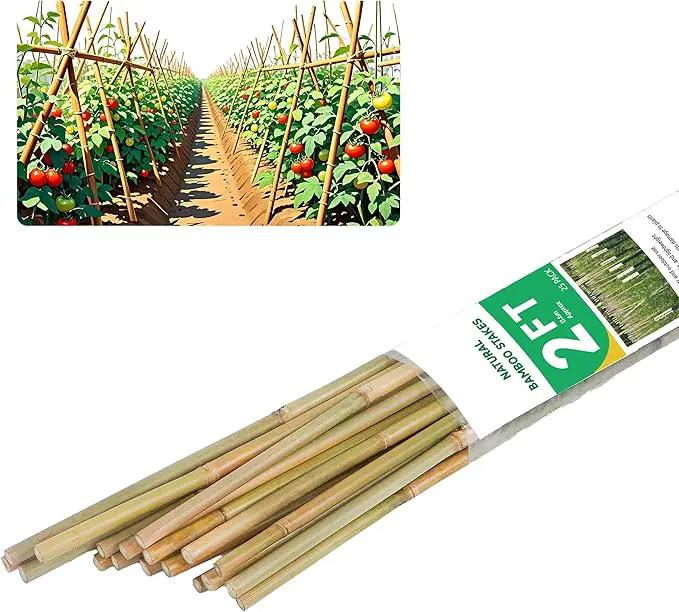2ft Natural Bamboo Plant Stakes for Tomatoes, Beans, Flowers, Potted, Climbing Plants 25pcs by GreenHaven Gardens