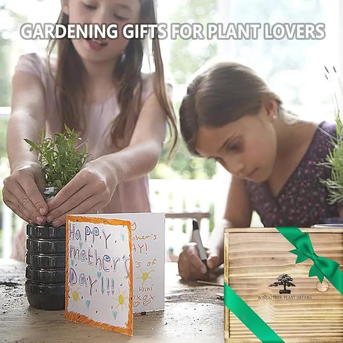 Bonsai Tree Kit – DIY Japanese Bonzai Trees with All-in-One Indoor Plant Growing Tools & Planters – Unique Gardening Gifts for Women, Men & Kids by GreenHaven Gardens