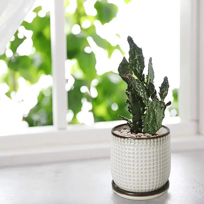 D'vine Dev Set of 2 Ceramic Plants Pots, 4 Inch Beaded Stoneware Flower Pot for Plants with Drainage Hole and Saucer, Smoked White, 27-E-Z-1 by GreenHaven Gardens