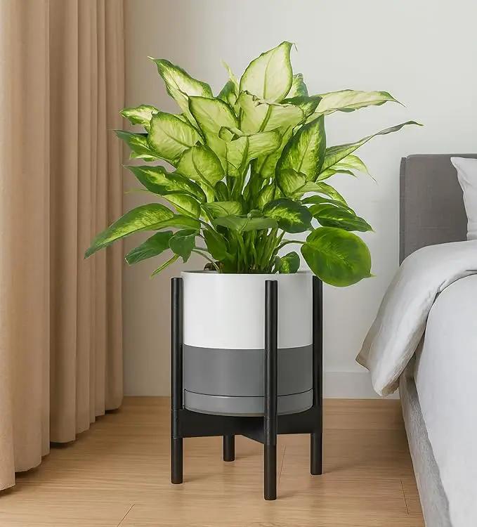 D'vine Dev Ceramic Planter with Ebony Stand - 10 Inch Modern Round Flower Pot with Wood Planter Holder, White/Grey, 55-B-L-6 by GreenHaven Gardens