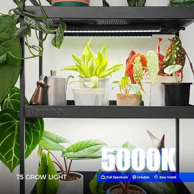 Barrina Plant Grow Lights, 5000K Full Spectrum Daylight White, T5 LED Grow Light Strips, 1ft Growing Lamp with Magnetic Bar, Plant Lights for Indoor Plants, Greenhouse, Black Cover, Linkable, 8 Packs by GreenHaven Gardens