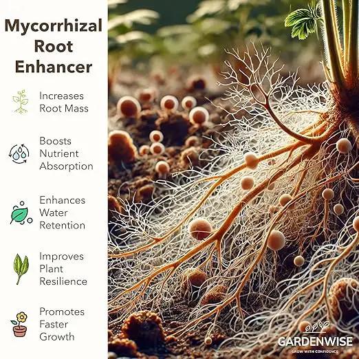 Organic Liquid Plant Food for Indoor Houseplants – All Purpose Fertilizer for Potted Plants, Vegetables, Succulents, Orchids, Roses – Miracle Growth with Mycorrhizae (16 oz) by GreenHaven Gardens