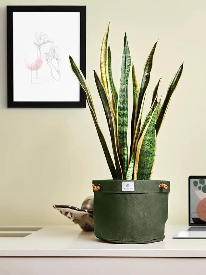 Waxed Canvas Handmade Hanging Planter for Indoor/Outdoor Plants, Hanging Basket Plant Holder Forest Green by GreenHaven Gardens