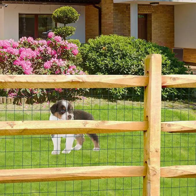Green PVC Coated Welded Wire Fence 24 Inch x 50 Foot, 2 Inch x 3 Inch 16GA, Garden Border Fencing Roll Vinyl Coating Metal Wire Mesh for Yard Vegetable Plant Protection Poultry Netting by GreenHaven Gardens