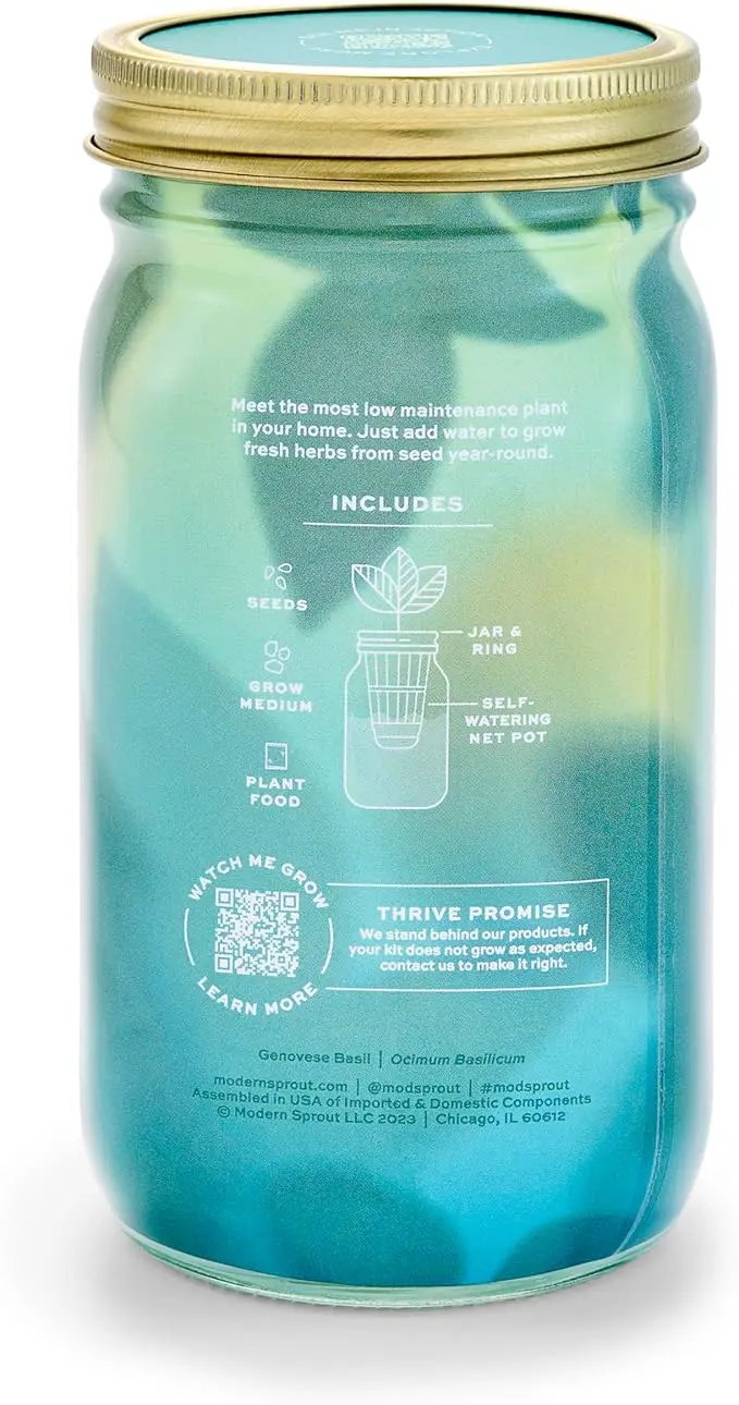 Modern Sprout Mason Garden Jar - Self-Watering Hydroponics Growing System Kit with Organic Herb Seeds - Jar Planter for Indoor Herb Garden - Seed Starter Kit - Home Decor & Gifting - Basil by GreenHaven Gardens
