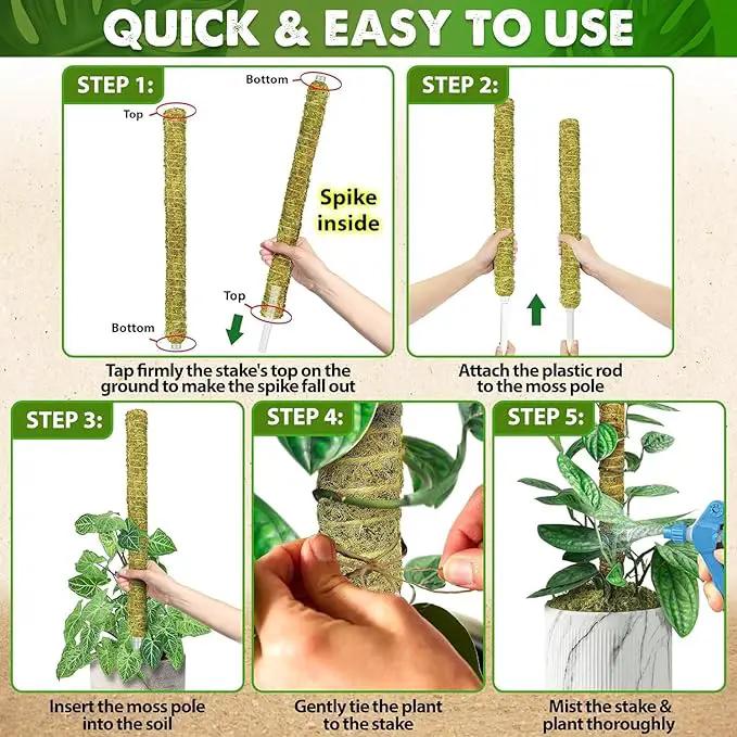 DUSPRO Natural Stackable Moss Pole for Plants Monstera Potted Plant Stakes for Indoor Plants Extendable Plant Pole Moss Sticks for Plants Climbing Vine Supporting Monstera Trellis 4Pcs 22'' by GreenHaven Gardens
