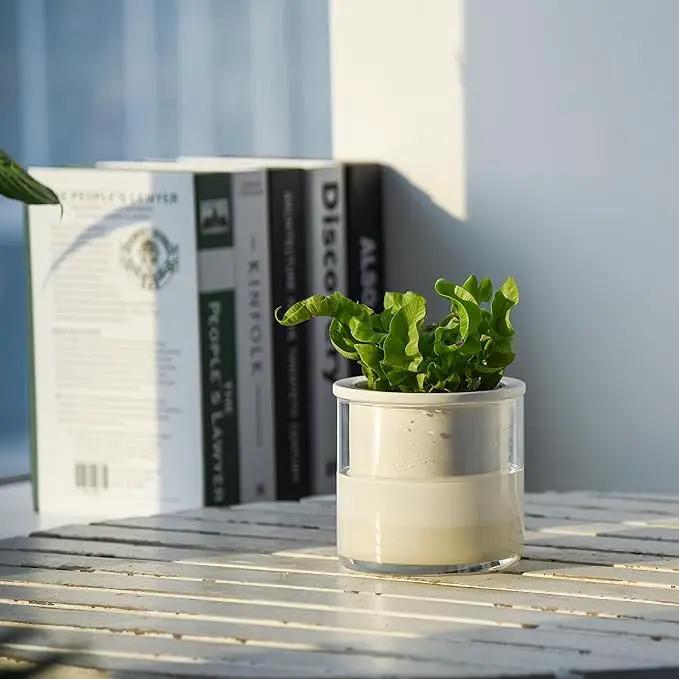 Phoenix Vine 4 Inch Self Watering Planter Pot, Design White Terracotta Pots for Plants, Indoor Cylinder Terra Cotta Pots with Glass Vase, Set of 1, 51-B-E-1 by GreenHaven Gardens