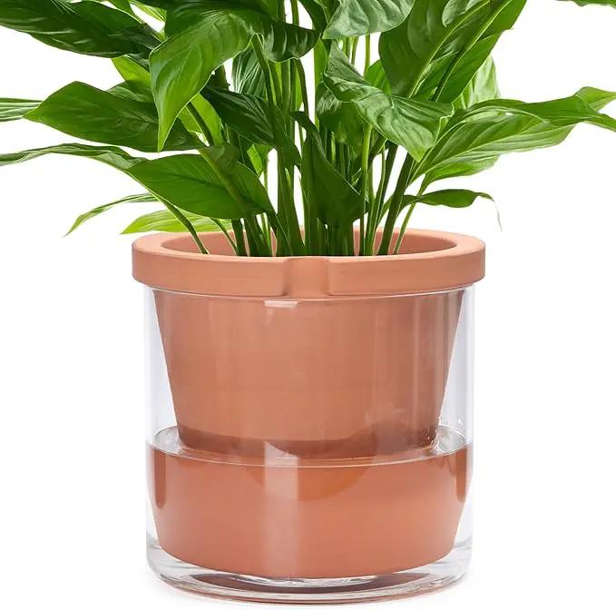 D'vine Dev 10 Inch Design Self Watering Pot for Indoor Plants, Terracotta Planter with Cylinder Glass Cup, Set of 1, 37-X-D-1 by GreenHaven Gardens