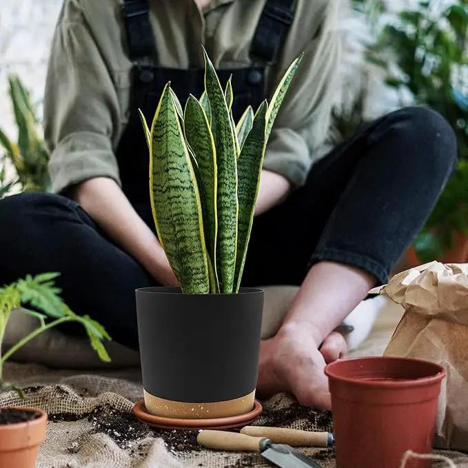 QCQHDU 6.5 inch Plant Pot, 2 Pack Planters for Indoor Plants with Drainage Holes & Saucer, Outdoor Flower Pots Home Garden Modern Decor by GreenHaven Gardens