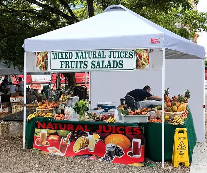MASTERCANOPY Durable Pop-up Canopy Tent with 1 Sidewall (6.6'x6.6',Khaki) by GreenHaven Gardens