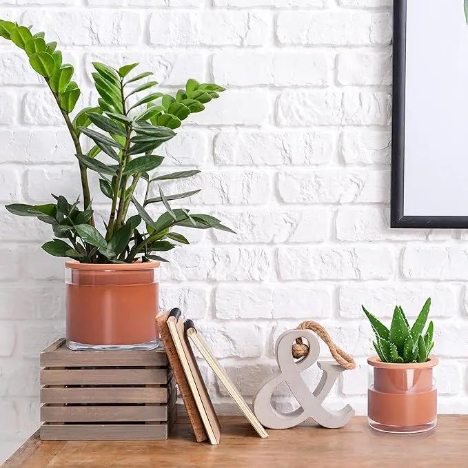 Phoenix Vine 4 Inch 6 Inch Self Watering Plants Pots, Design Terracotta Pots for Plants, Indoor Cylinder Terra Cotta Planter with Glass Vase Set, 51-A-G-46 by GreenHaven Gardens