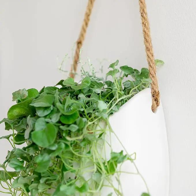 Wall Planters -Ellie- | Hanging Ceramic Plant Pots 2 Pieces | Wall Decoration for Indoors, Balcony and Garden | White (Matte) by GreenHaven Gardens