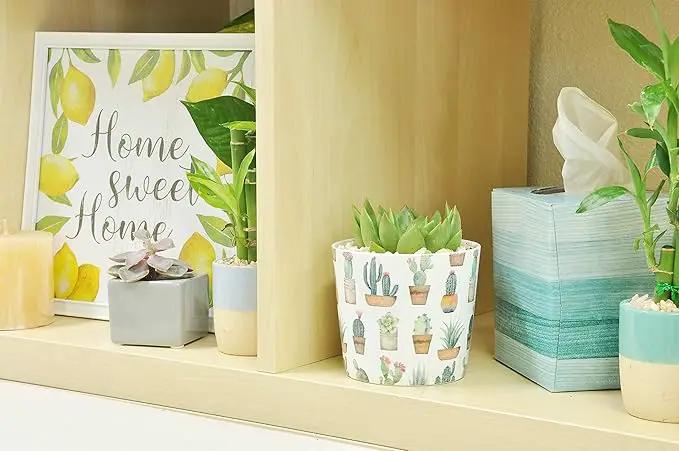 Costa Farms Live Indoor Echeveria Succulent Plant in Wood Design Ceramic Pot by GreenHaven Gardens