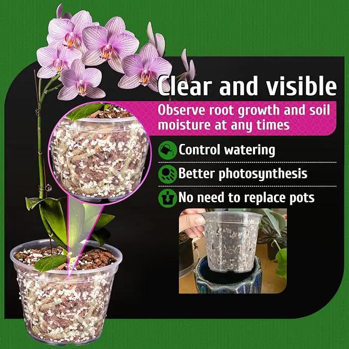 REMIAWY Orchid Pot, 8 Pack Orchid Pots with Holes and Saucers, 5.5 Inch Clear Plastic Flower Planters for Repotting Indoor Outdoor, Breathable Slotted Nursery Planter by GreenHaven Gardens