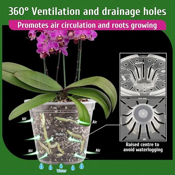 REMIAWY Orchid Pot, 6 Pack Orchid Pots with Holes, 5.5 Inch Clear Plastic Flower Planters for Repotting Indoor Outdoor, Breathable Slotted Nursery Planter by GreenHaven Gardens