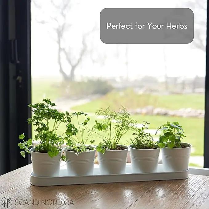 SCANDINORDICA White Herb Planter 5 Pots with Drainage Holes and Tray, Windowsill Planter, Indoor/Outdoor Herb Pots by GreenHaven Gardens