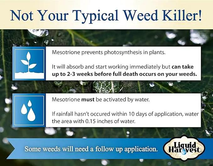 Mesotrione - 16 Ounces - (Compare to Tenacity) - Turf Herbicide by GreenHaven Gardens