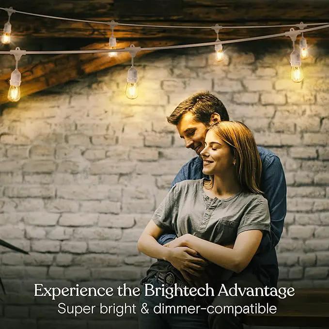 Brightech Ambience Pro Waterproof LED Outdoor String Lights, 48 Ft, Hanging, Dimmable Vintage Edison Bulbs, 15 Bulbs, 2W by GreenHaven Gardens