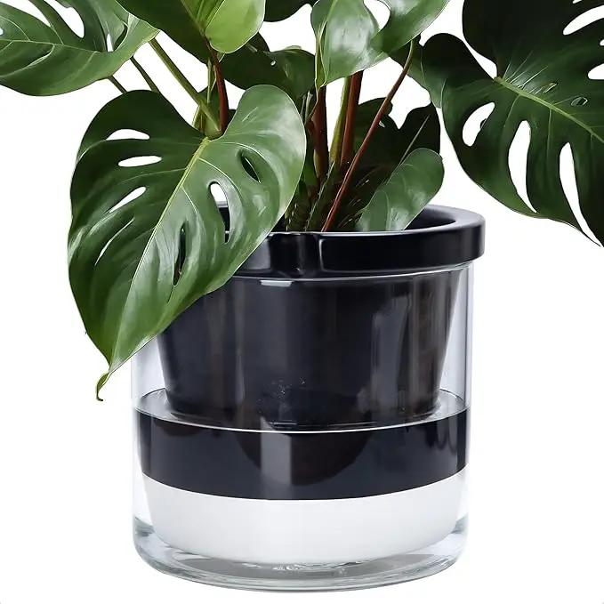 D'vine Dev 10 Inch Design Self Watering Planter for Indoor Plants, Black Terracotta Pot with Cylinder Glass Cup, 37-X-D-3 by GreenHaven Gardens