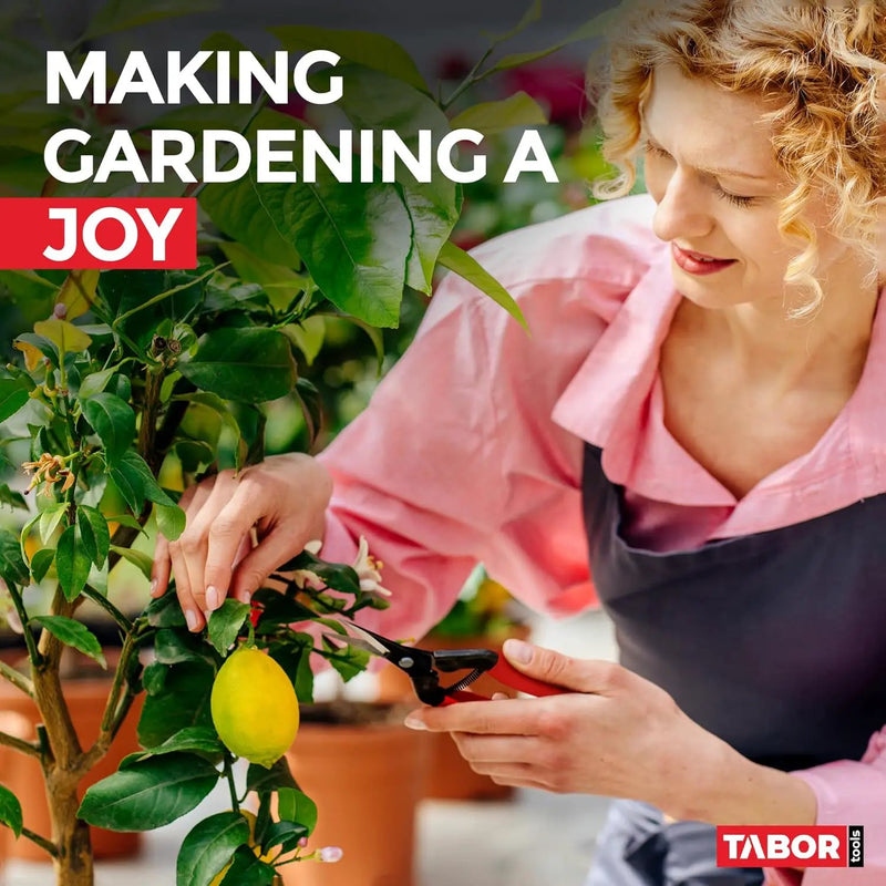 TABOR TOOLS K7A Straight Pruning Shears with Carbon Steel Blades, Florist Scissors, Multi-Tasking Garden Snips for Arranging Flowers, Trimming Plants and Harvesting Herbs, Fruits or Vegetables. by GreenHaven Gardens