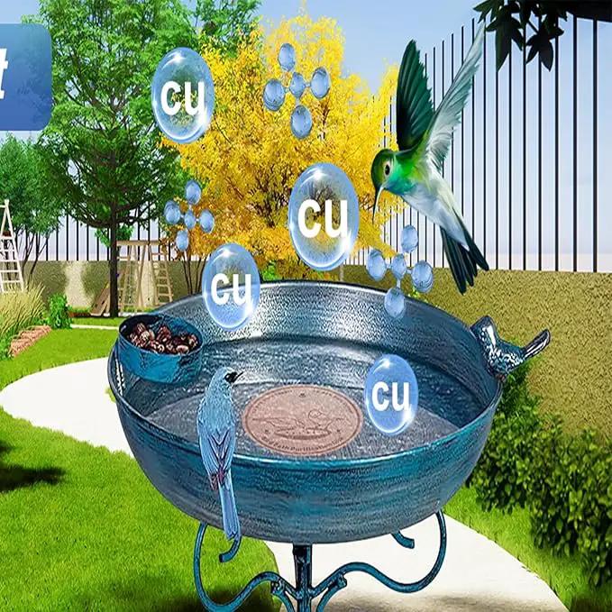 4-Pack 99.99% Pure Copper Bird Bath Purification Disk,Copper Disc with Stable Triple-Point Support,Fits All Outdoor Bird Baths(Round) by GreenHaven Gardens