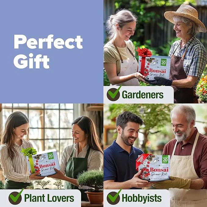 HOME GROWN Bonsai Tree Kit - Premium Ceramic Starter Kit - 4 Variety of Bonsai - Unique Gift for Men and Women Gardeners by GreenHaven Gardens