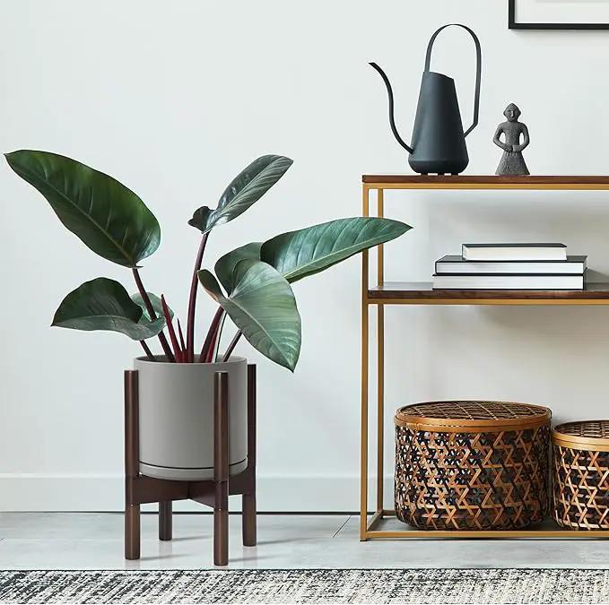 D'vine Dev Ceramic Planter with Walnut Color Stand - 8 Inch Modern Round Flower Pot with Wood Planter Holder, Grey, 55-B-Y-3 by GreenHaven Gardens