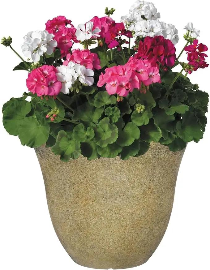 Classic Home and Garden Honeysuckle Planter, Patio Pot, 13" Fossil Stone (One Pack) (Pack of 4) by GreenHaven Gardens