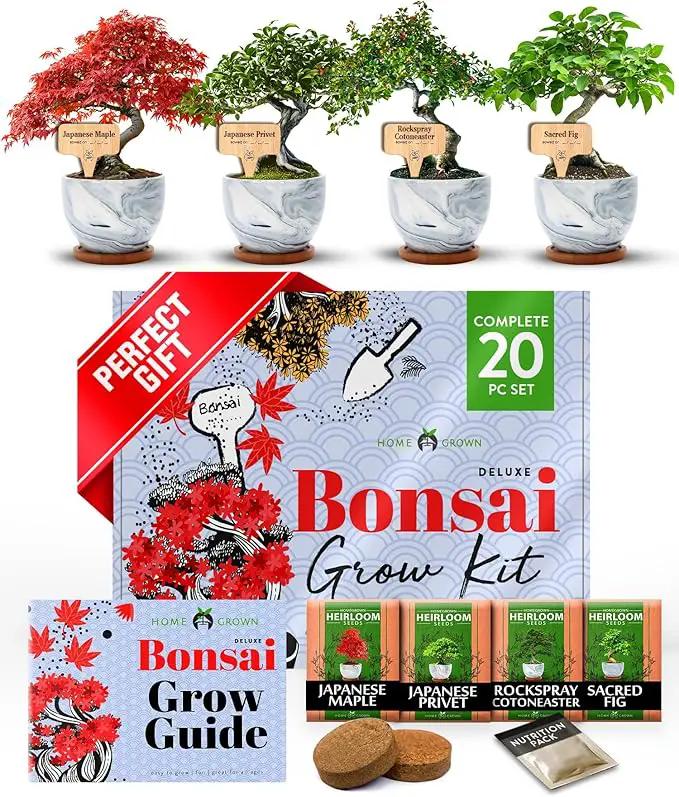 HOME GROWN Bonsai Tree Kit - Premium Ceramic Starter Kit - 4 Variety of Bonsai - Unique Gift for Men and Women Gardeners (BK2-2nd-MF) by GreenHaven Gardens