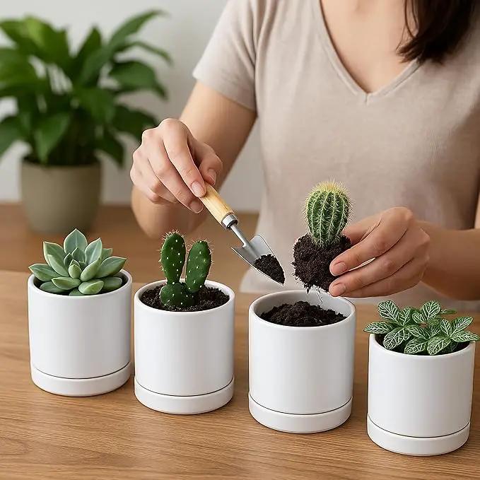 D'vine Dev Set of 4 Small Ceramic Plant Pots, 3.5 Inch Succulent Planter Pot for Plants with Drainage Hole and Saucer, White, 94-X-A-1 by GreenHaven Gardens