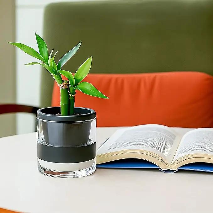 D'vine Dev 4 Inch Design Self Watering Planter for Indoor Plants, Black Terracotta Pot with Cylinder Glass Cup, Set of 2, 37-Y-A-3 by GreenHaven Gardens