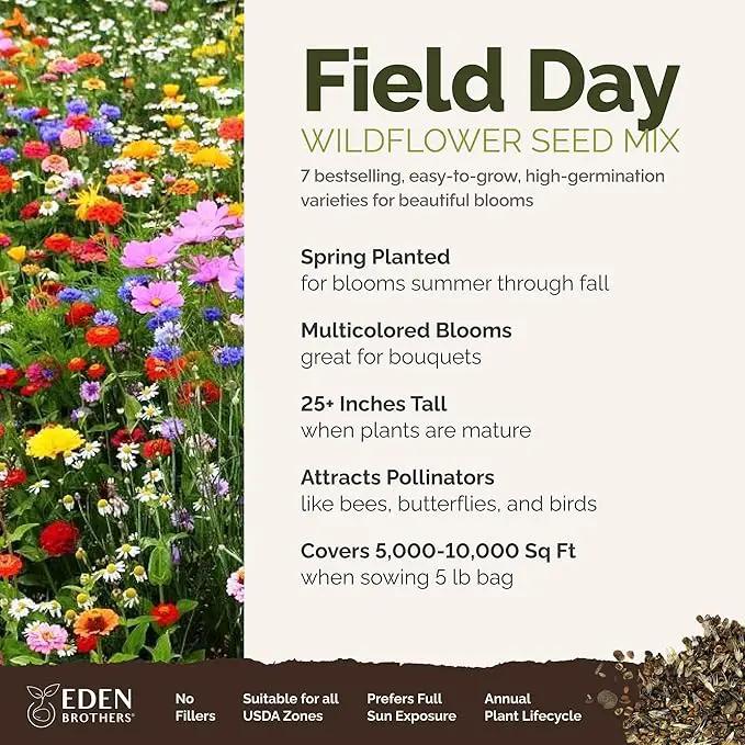 Eden Brothers Field Day Flower Mixed Seeds for Planting, 5 lb, 2,400,000+ Seeds with Zinnia Lilliput, Calendula Mix | Attracts Pollinators, Plant in Spring or Fall, Zones 3, 4, 5, 6, 7, 8, 9, 10 by GreenHaven Gardens