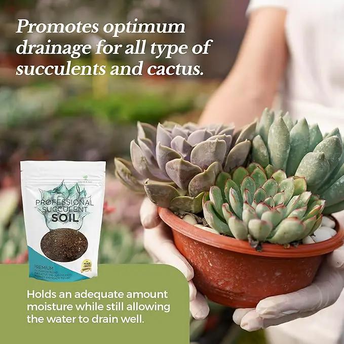 Succulent Soil Premium All Purpose Blend | Large 2.2 Quarts | Pre-Mixed Ready to Use for Cactus and Succulents | Canadian Peat, Course Sand, Pinebark | Made in USA by GreenHaven Gardens