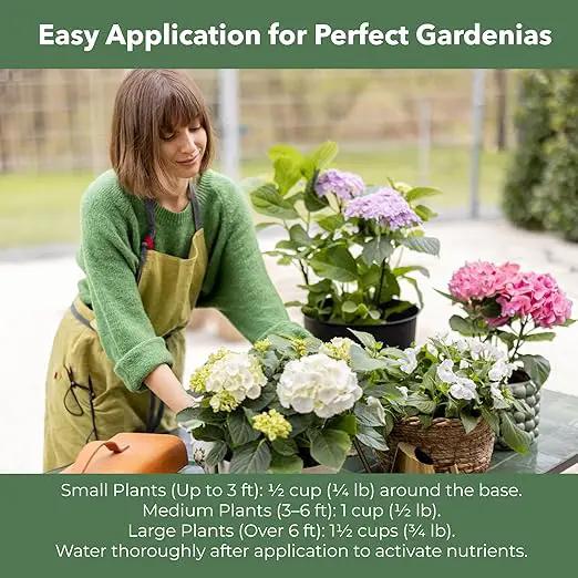 Slow Release Hydrangea Fertilizer with Iron & Sulfur – Indoor & Outdoor Soil Acidifier for Miracle Growth (12 oz) by GreenHaven Gardens